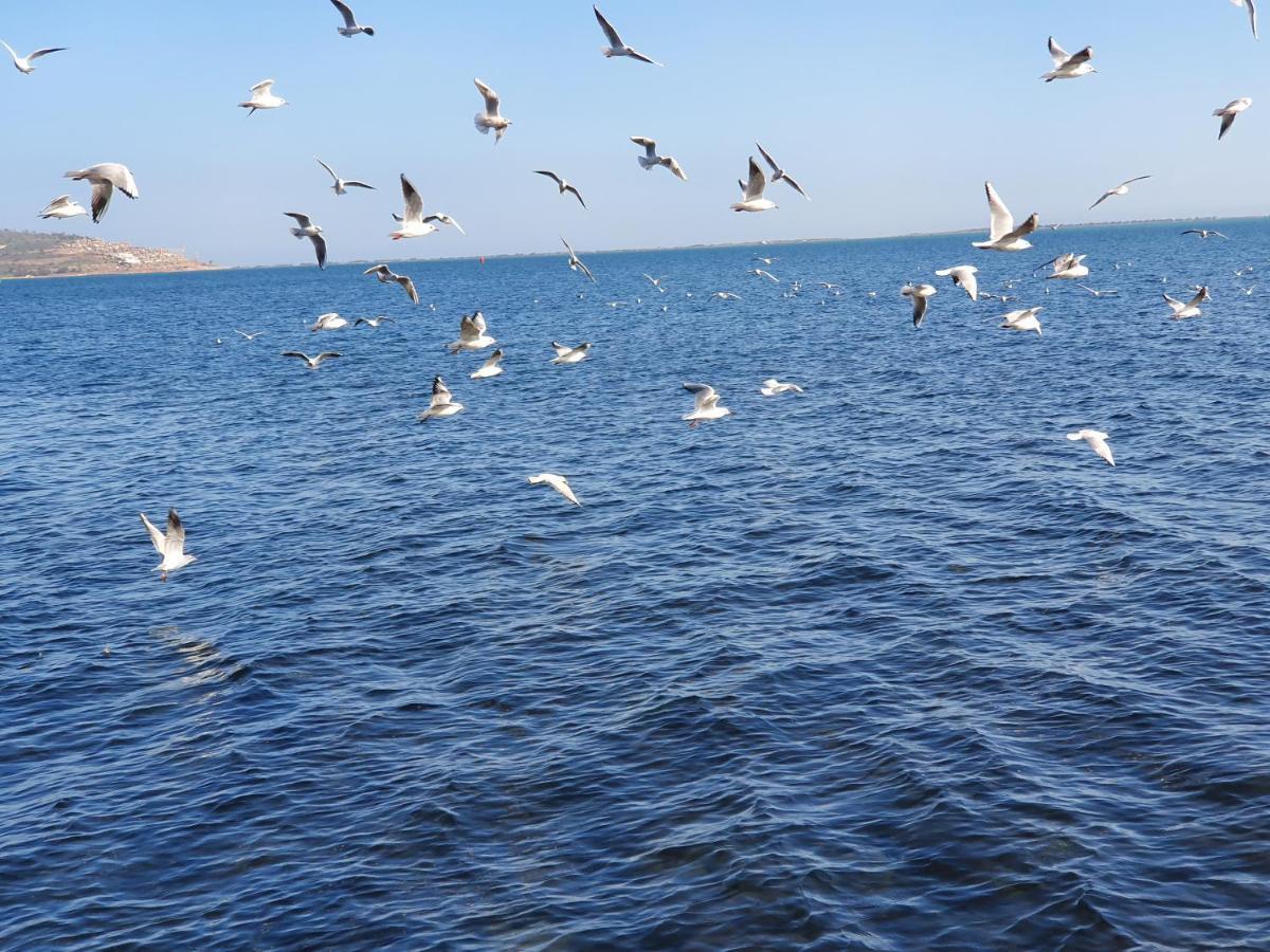 Apartment Ayoub -For Families Only- Nador Eksteriør bilde
